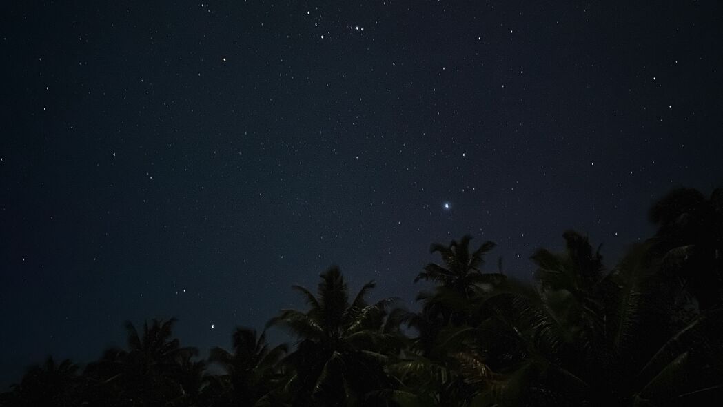 棕榈树下的星空夜晚，深色高清4K壁纸，3840x2160分辨率，星星点点照亮你的桌面背景！