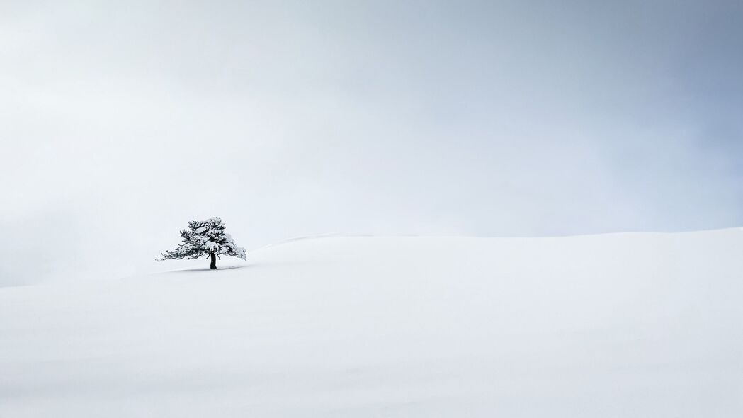 冬日雪景极简主义，高清4K白色背景壁纸（3840x2160）免费下载