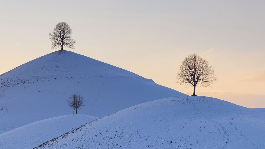 冬日山丘雪景4K高清壁纸，树木银装，3840x2160分辨率，免费下载