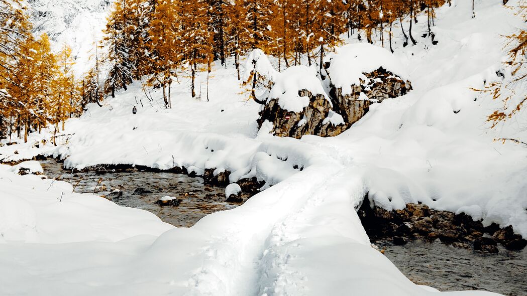冬季雪景，4K高清壁纸，山树雪径，路径蜿蜒，3840x2160超清下载