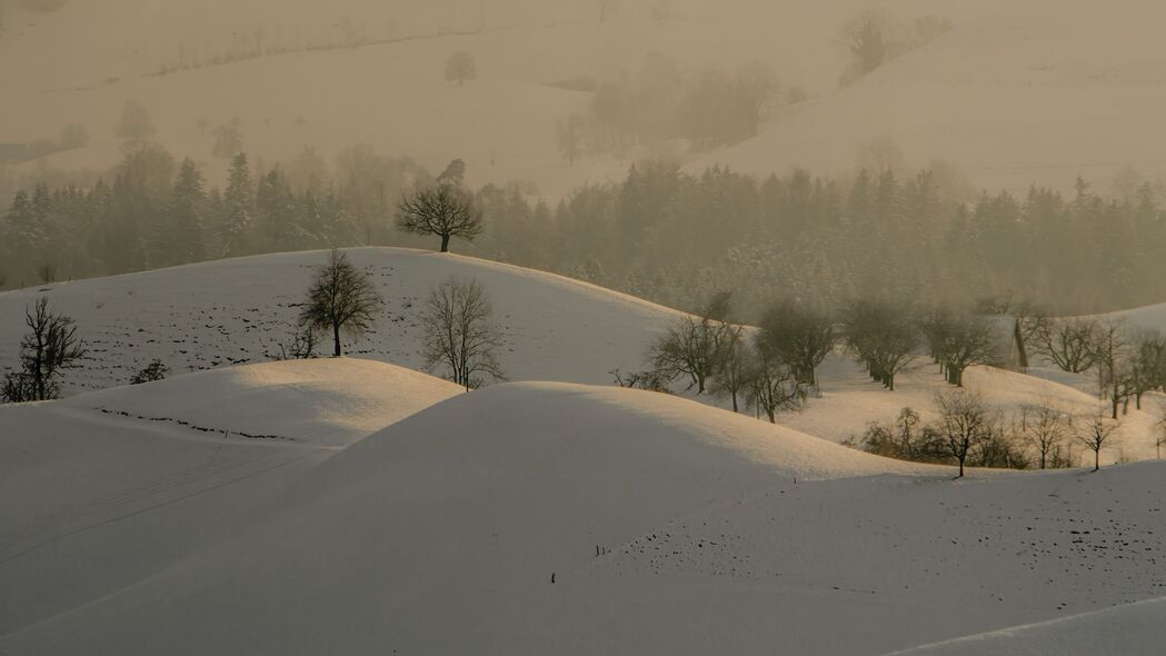 冬日山丘雪景，高清4K树木风光壁纸，3840x2160超清下载