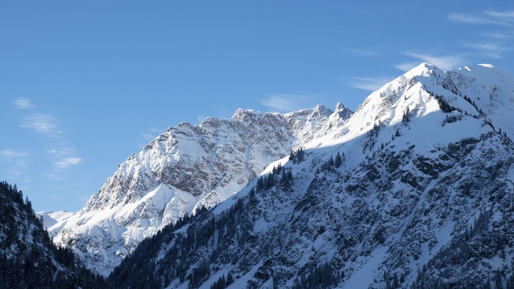 山雪斜坡树木绝美景观，4K高清壁纸，3840x2160分辨率，畅享自然之美！