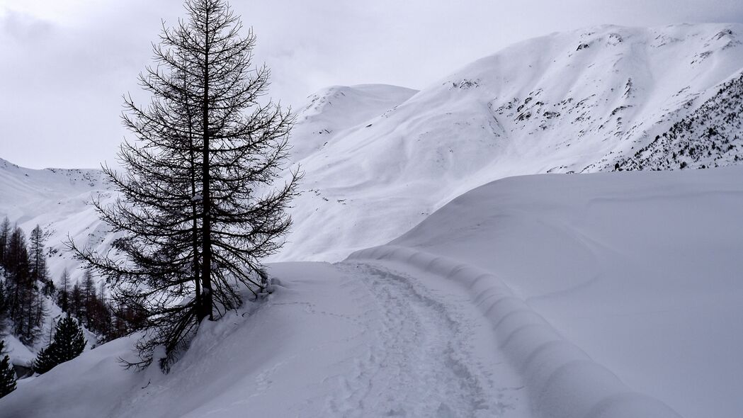 冬季山脉雪景高清4K壁纸，雪径树影，3840x2160超清风景图片下载