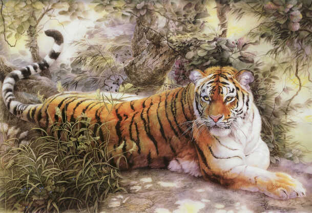 手绘老虎PNG透明背景，高清底纹设计素材，免费下载