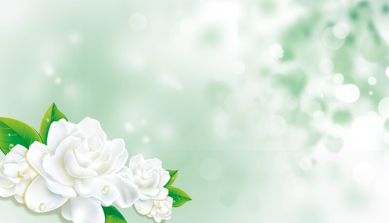 清新茉莉花美容背景海报，高清JPG图片，创意图片设计素材下载