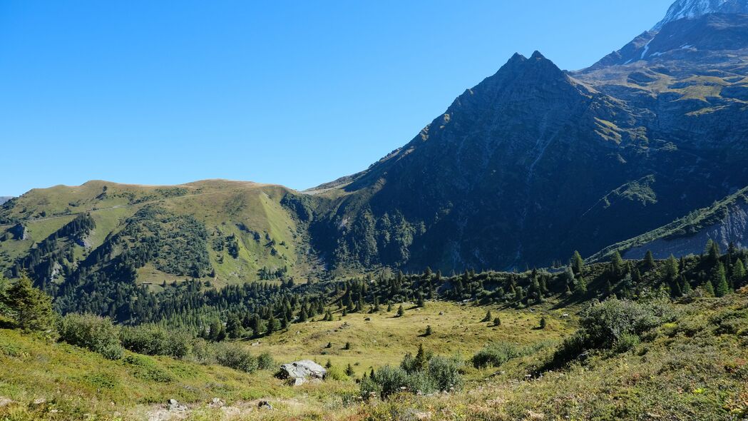 山谷翠影，绝美4K树木灌木风景壁纸，高清3840x2160分辨率，免费下载
