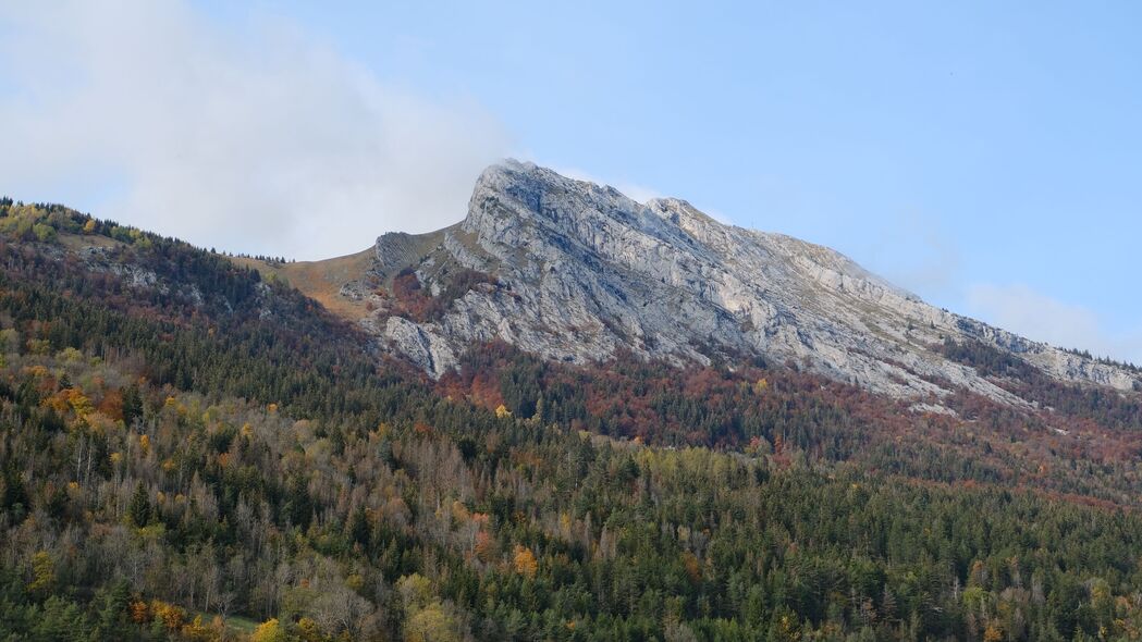4K超清山峰森林斜坡壁纸，树木繁茂，高清3840x2160美景下载