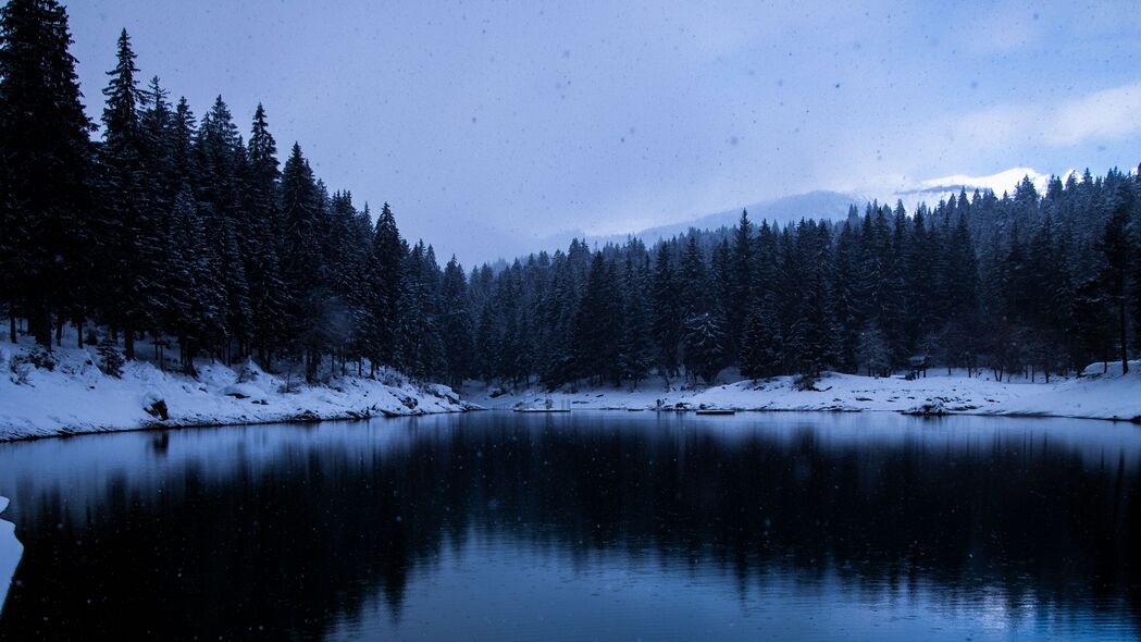 冬季湖光雪景，海岸树木4K超清壁纸，3840x2160高清下载