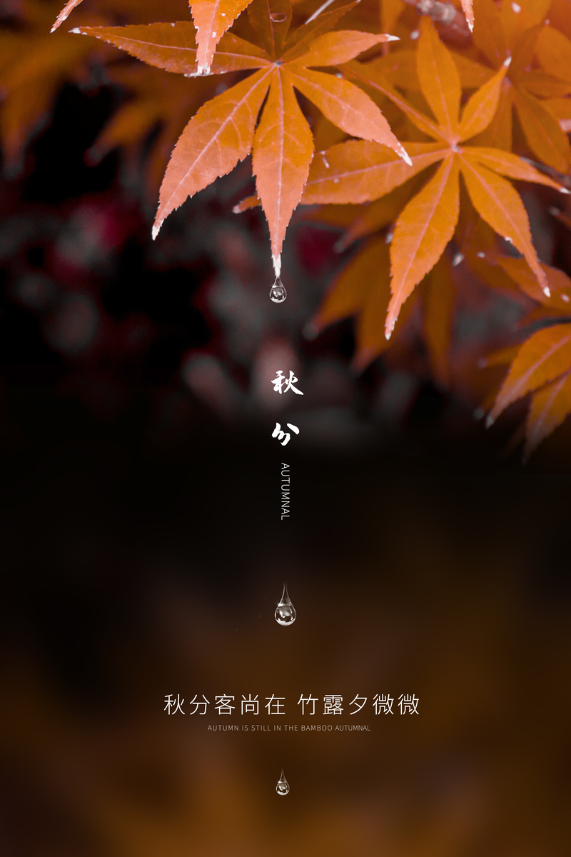 秋分诗意背景海报，红黄枫叶渲染小清新文艺风，高清JPG/PSD设计素材下载