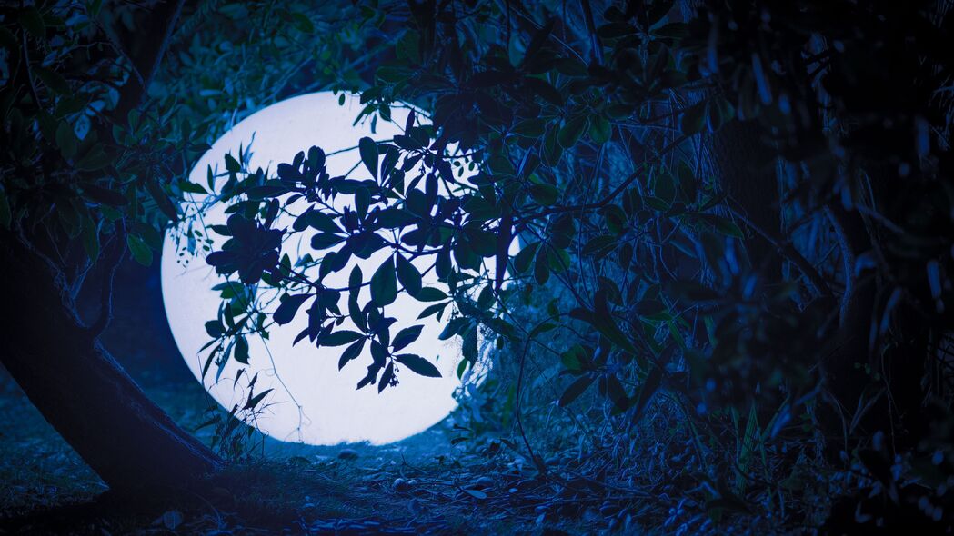夜晚树枝辉光球4K高清壁纸，3840x2160超清背景图片下载