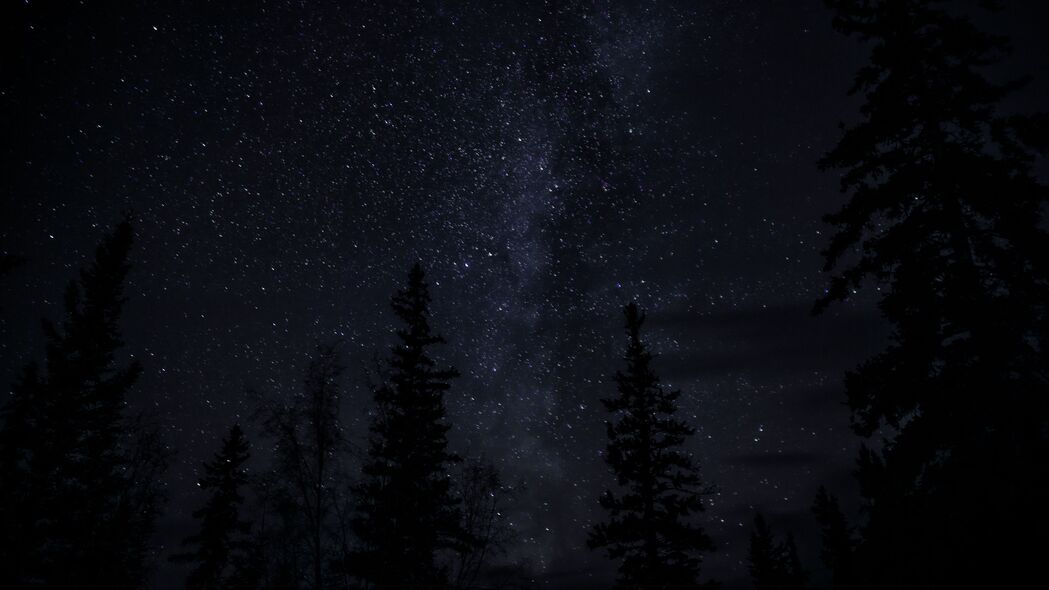 夜晚星空，黑暗中的棵树之美，4K超高清3840x2160壁纸，一键下载！