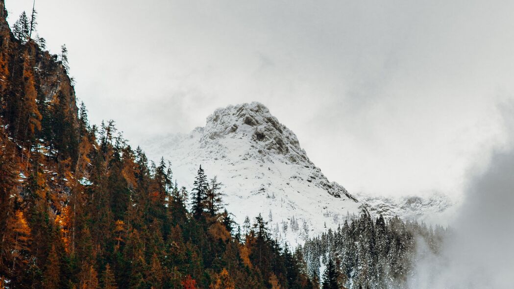 秋季山峰森林雪景4K高清壁纸，3840x2160超清风景图片，一键下载