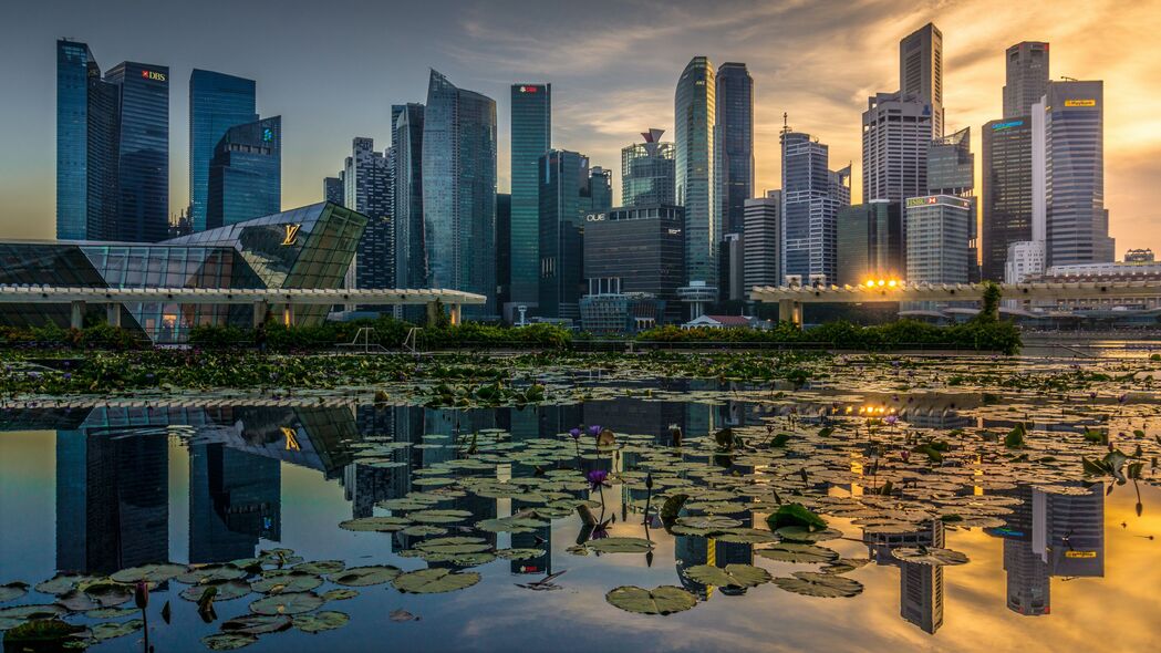 摩天大楼映睡莲，城市建筑美景4K壁纸，3840x2160高清下载