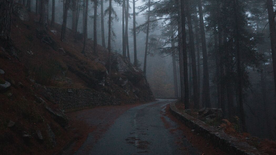 4K高清森林风景壁纸，雾中道路与斜坡树木，3840x2160分辨率精美下载