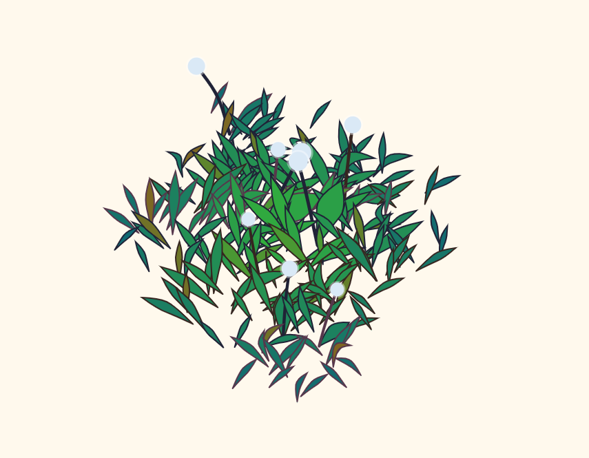 css路径动画，蒲公英动态变化素材
