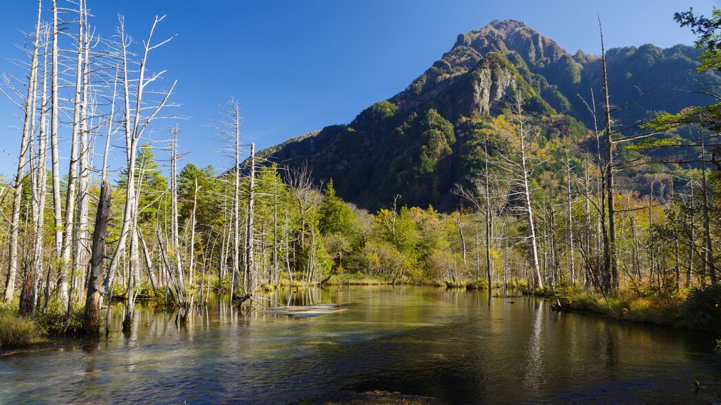秋日河山美景，高清4K风景壁纸，3840x2160分辨率，尽享秋日树影斑斓
