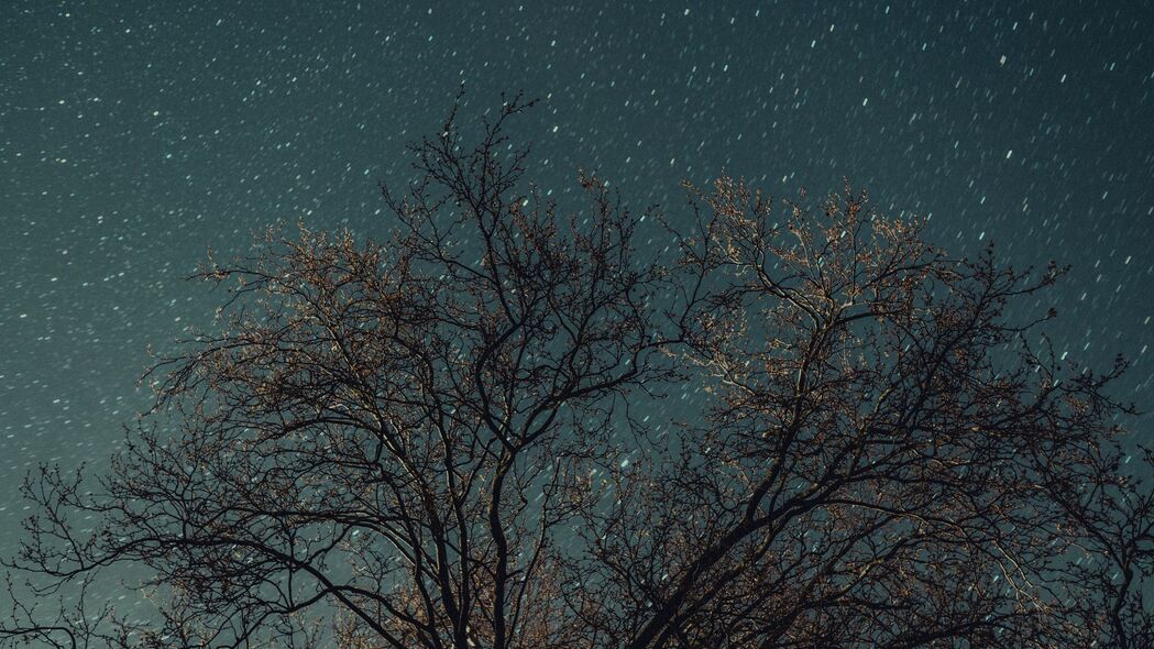 夜晚星空下的树影，4K高清壁纸，璀璨星星点缀，3840x2160分辨率免费下载