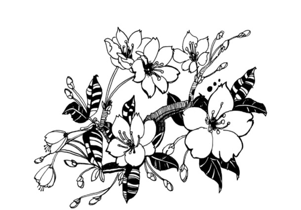 樱花图案设计素材，高清PNG透明图片，装饰元素花纹，免费下载