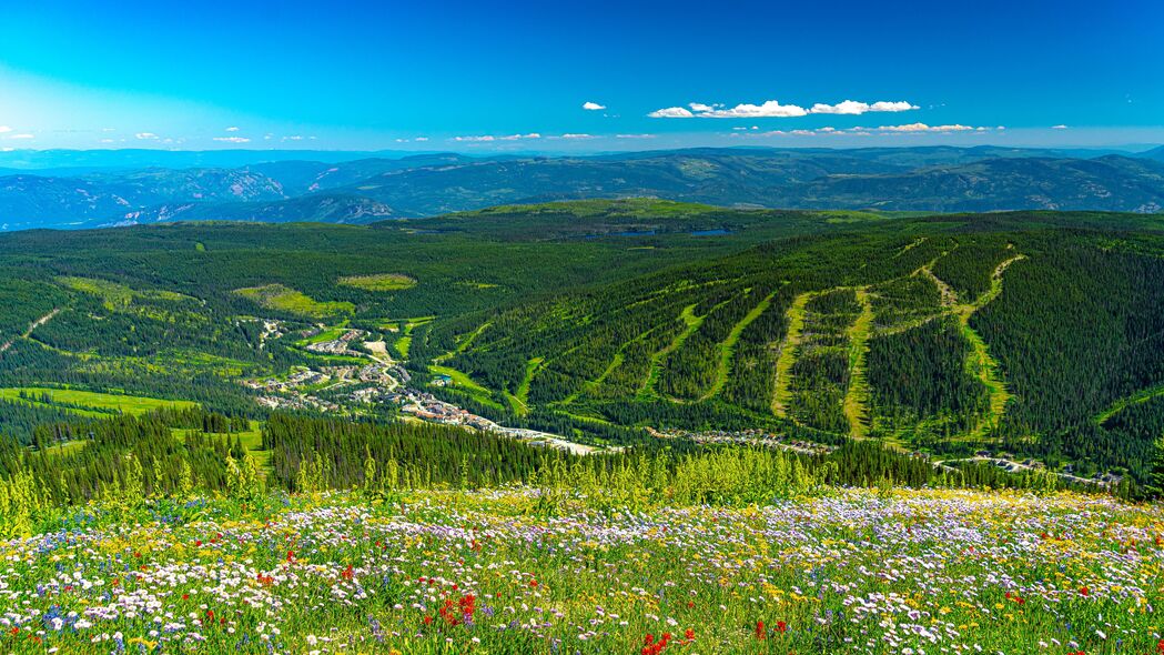 4K超高清绿色风光，山丘花草森林美景，3840x2160精选壁纸下载