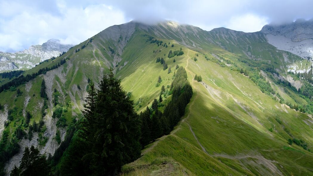 4K超清风景壁纸，山脉、树木与草甸，3840x2160高清下载