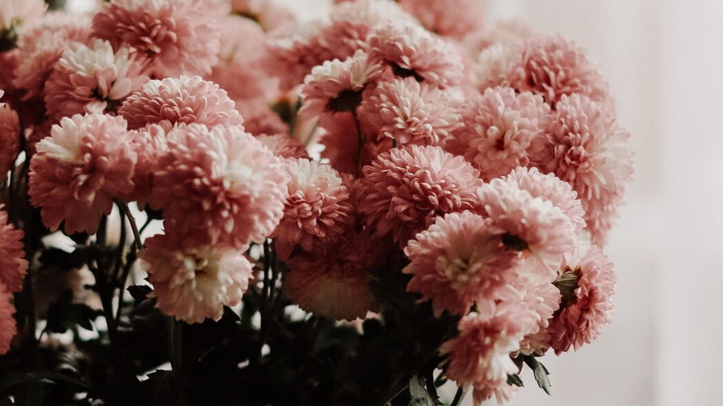 菊花鲜花，优雅花束与花瓶装饰房间，高清4K壁纸3840x2160免费下载