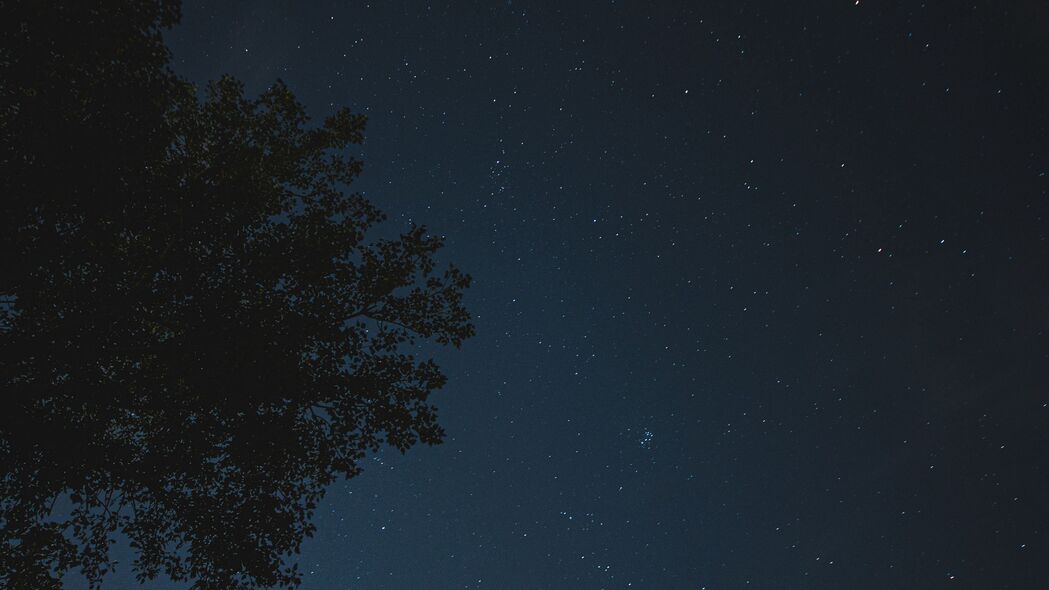夜之树影，璀璨星空与闪烁星星4K超清壁纸，3840x2160高清背景图片免费下载