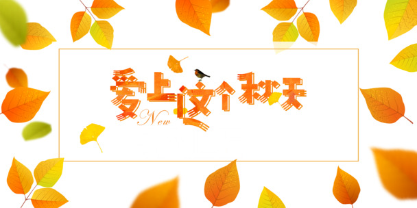 秋季专属，精美树叶边框PNG透明图片，手绘卡通元素，PSD格式设计素材免费下载