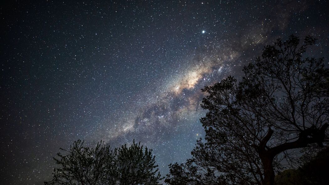 星云恒星映树木，树枝剪影绘宇宙——4K高清壁纸，3840x2160超清下载