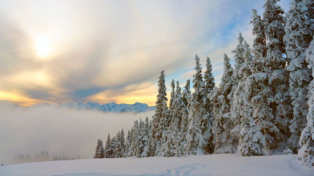 云杉山脉雪景，绝美4K高清壁纸，3840x2160分辨率，下载尽享冬日风光