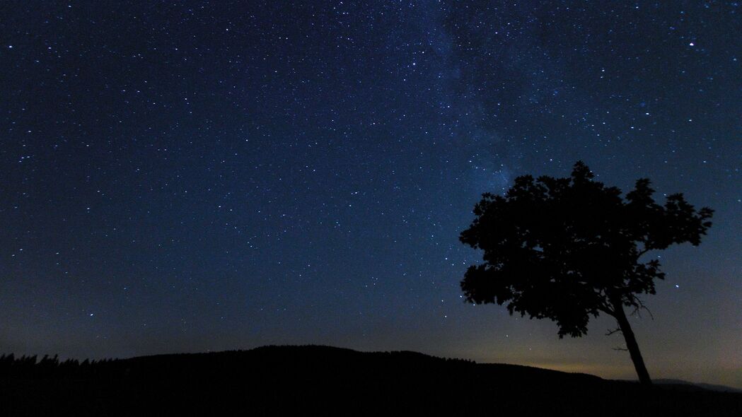 夜晚星空下的树影剪影，4K高清壁纸，3840x2160分辨率，绝美风景图片，免费下载