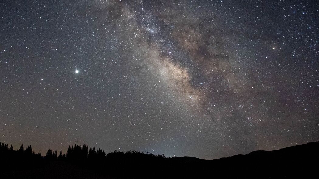 星云璀璨，夜晚星空下的树木美景，4K高清壁纸（3840x2160）免费下载