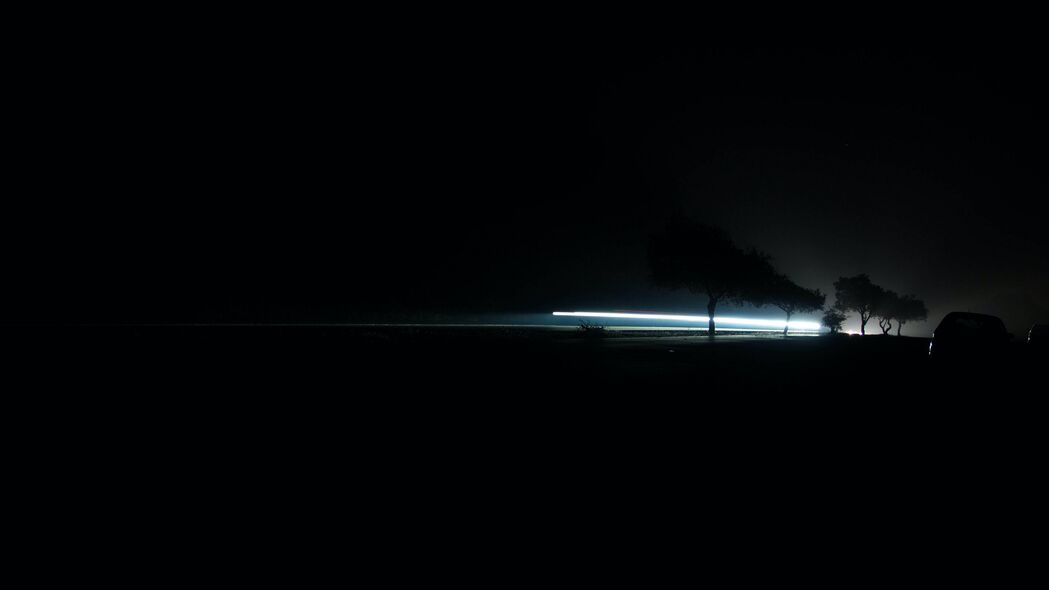 【绝美4K】夜晚黑色长曝光霓虹灯棵树高清壁纸，3840x2160分辨率，炫酷背景图片下载