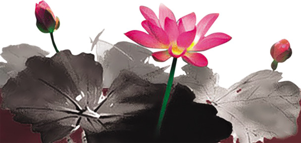中国风荷花墨水画PNG透明装饰元素，高清图片素材免费下载