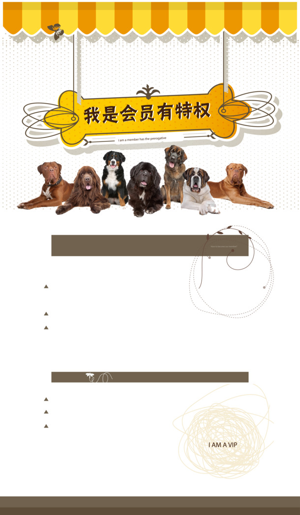 宠物店PNG素材，透明高清动物图片，设计元素下载