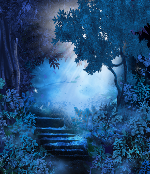 夜晚森林风景PNG透明底纹，高清设计素材，免费下载