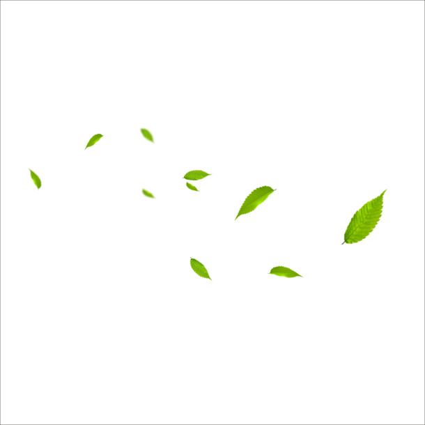叶子PNG透明图片，高清漂浮元素设计素材，免费下载