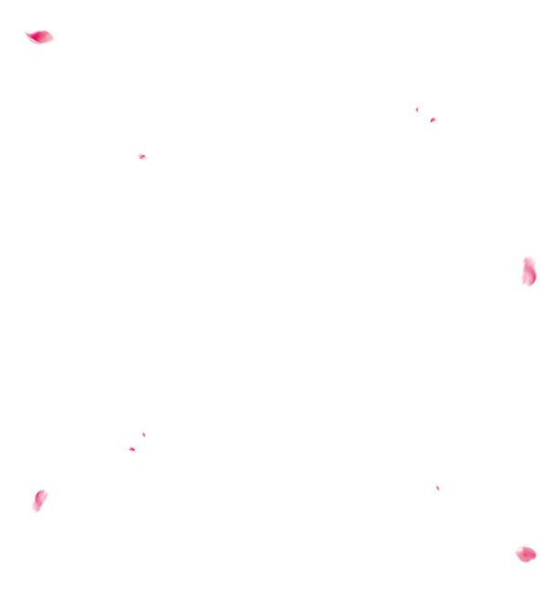 漂浮花瓣PNG透明图片，高清PSD设计素材，免费下载