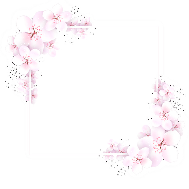 美丽鲜花框PNG素材，高清透明图片边框，创意装饰元素，PSD格式下载