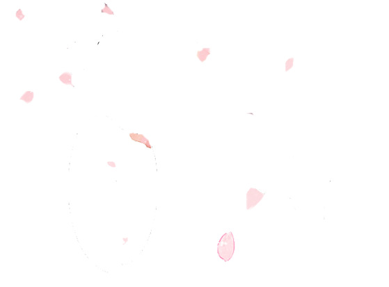 高清PNG透明花瓣图片，飘落元素设计素材，免费下载