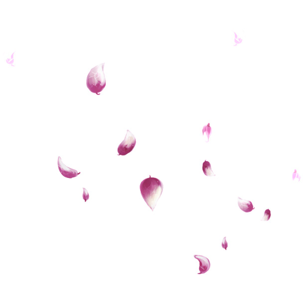 紫色花瓣特效PNG，高清透明漂浮元素，创意花瓣图片设计素材免费下载