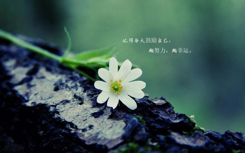 老墨说点心里话，并祝福小伙伴们新的一年，身体健康，多多赚钱！
