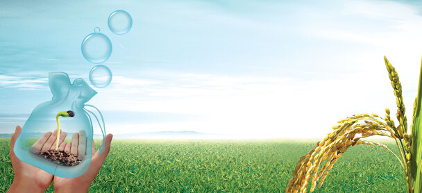 农业丰收愿景，精选稻米发芽高清PNG透明背景banner，海报设计素材免费下载