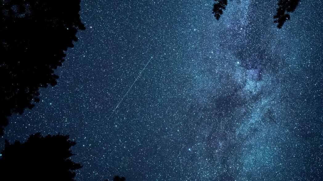 海星闪耀夜空，树枝映衬下的星星4K高清壁纸（3840x2160）免费下载