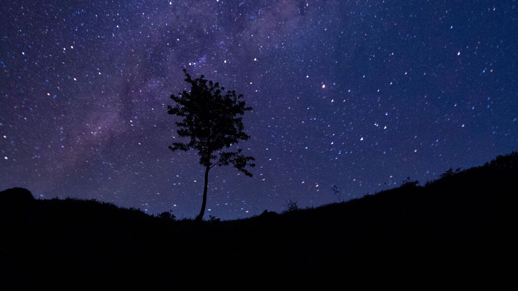 树影剪映，星空璀璨——4K高清壁纸，3840x2160分辨率，免费下载！