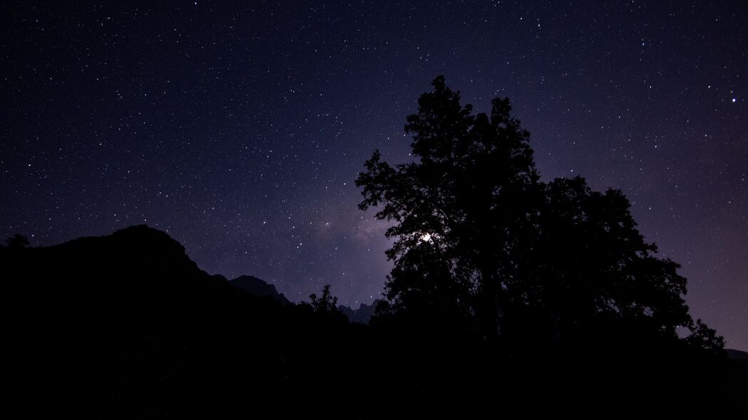 夜晚星空下的树木剪影，绝美4K高清壁纸（3840x2160）免费下载