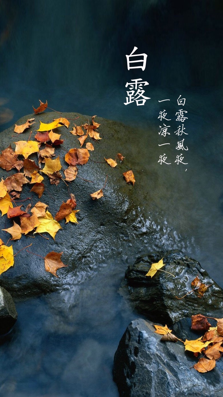 节气H5背景图片精选，高清JPG素材，另类创意设计，一键下载
