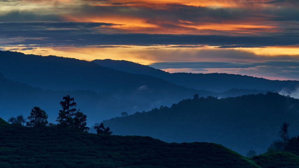 山丘林木映夕阳，黄昏美景尽珍藏——超清4K（3840x2160）黄昏山丘树木壁纸免费下载