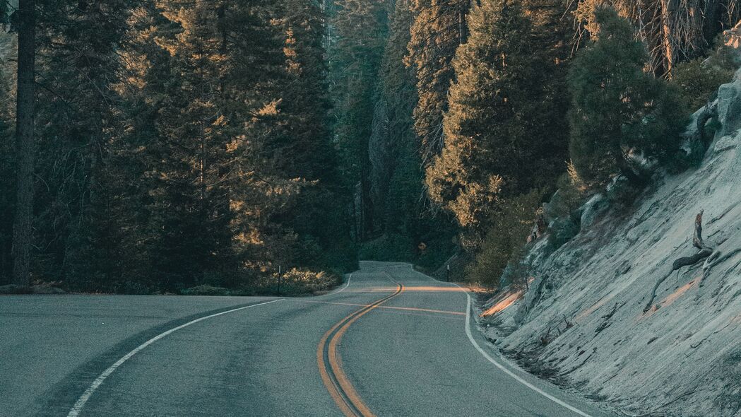道路树木森林自然美景，4K高清壁纸，3840x2160分辨率，尽享自然之美，一键下载！