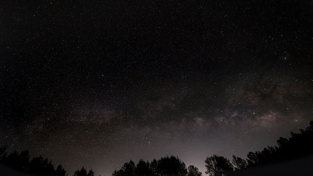 高清夜间星空壁纸，树木点缀下的璀璨星云，4K超清3840x2160分辨率，免费下载