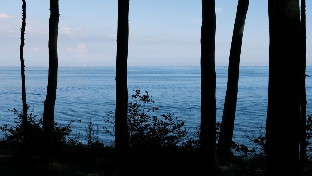 海洋森林4K壁纸，高清3840x2160风景图片，免费下载